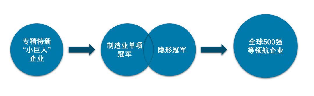 “专精特新”小巨人、制造业单项冠军、隐形冠军企业的区别_专精特新