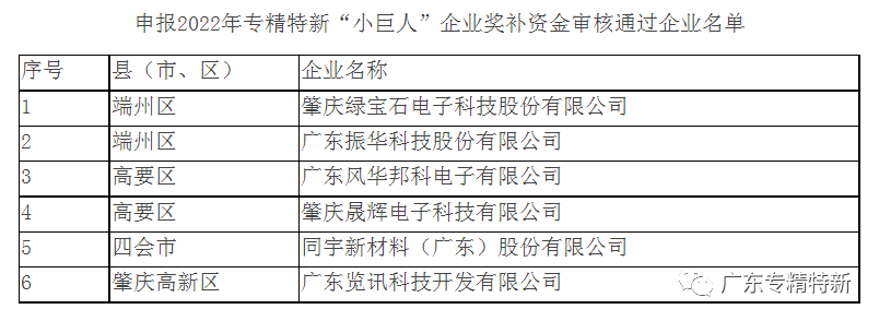 肇庆市关于申报2022年专精特新“小巨人”企业奖补资金审核通过企业名单公示_肇庆专精特新