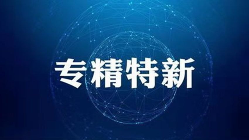 海南省新认定86家省级专精特新中小企业，助力推动经济高质量发展_海南专精特新