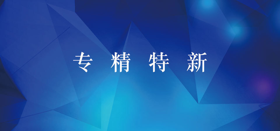 专精特新认定申报要点_专精特新认定