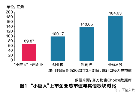 专精特新“小巨人”上市企业发展画像