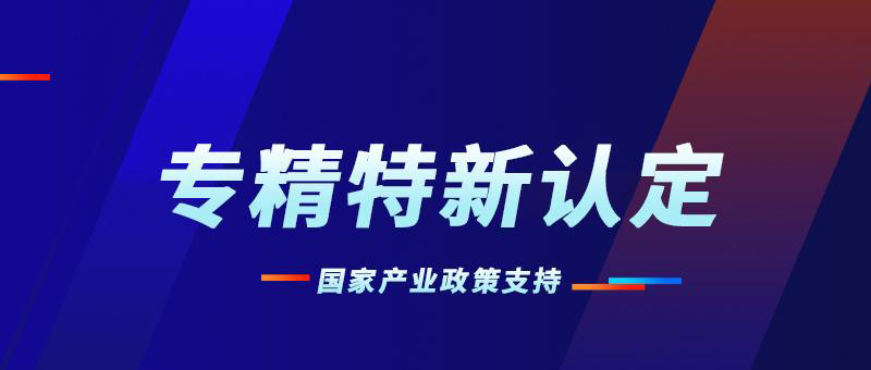 广东东莞市专精特新申报流程(广东东莞专精特新)